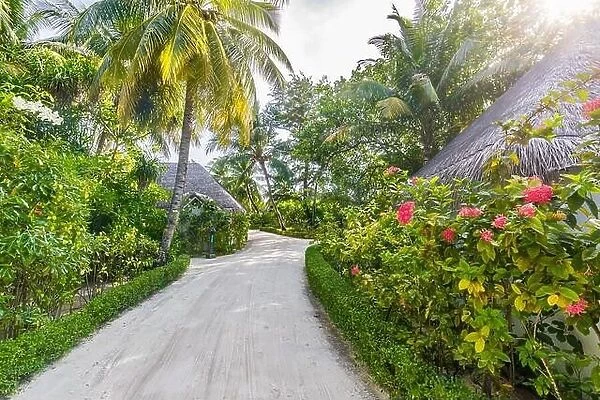 Beach bungalows in Maldives. Tropical floral garden and palm trees with sun rays. Exotic resort hotel destination. Tranquil relaxing pathway scenery