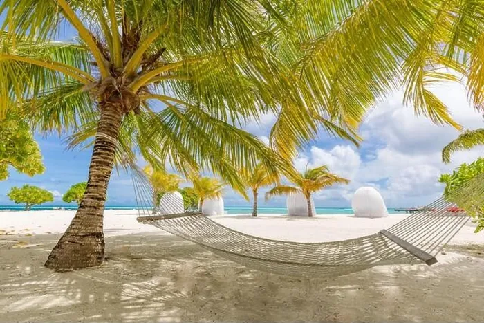 Framed Print : Beach hammock between palms trees cloudy sky, ocean. Sunny paradise beach with palm trees and traditional braided hammock