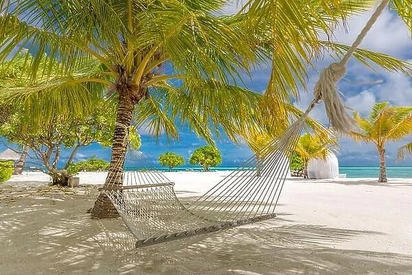 Beach hammock between palms trees cloudy sky, ocean. Sunny paradise beach with palm trees and traditional braided hammock