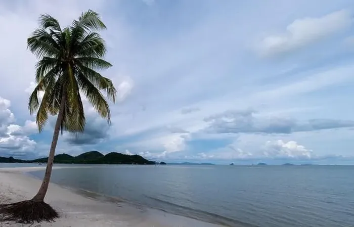 Framed Print : Beach at the Island Koh Yao Yai thailand, beach with white sand and palm trees Framed Print : Beach at the Island Koh Yao Yai thailand, beach with white sand and palm trees