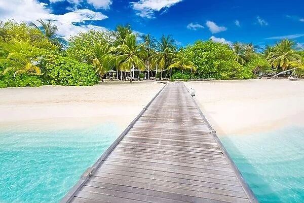 Beach with jetty on a tropical island. Maldives luxury paradise landscape. White sand over blue lagoon into palm tree covered island. Exotic travel