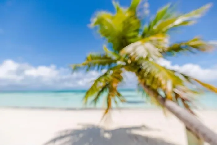 Framed Print : Beach landscape background with blurred sea and coconut tree background under blue sky. Exotic idyllic beach, tropical island blurred landscape Framed Print : Beach landscape background with blurred sea and coconut tree background under blue sky. Exotic idyllic beach, tropical island blurred landscape