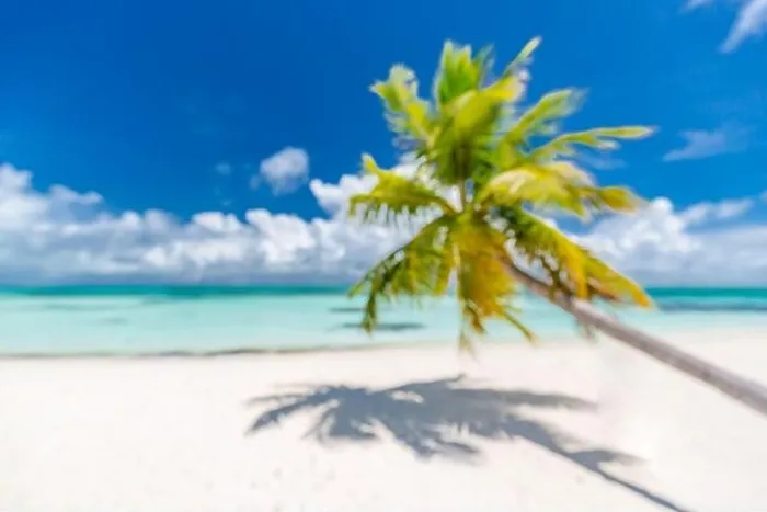 Framed Print : Beach landscape background with blurred sea and coconut tree background under blue sky. Exotic idyllic beach, tropical island blurred landscape Framed Print : Beach landscape background with blurred sea and coconut tree background under blue sky. Exotic idyllic beach, tropical island blurred landscape