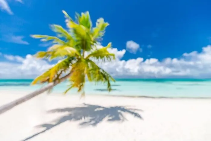 Framed Print : Beach landscape background with blurred sea and coconut tree background under blue sky. Exotic idyllic beach, tropical island blurred landscape Framed Print : Beach landscape background with blurred sea and coconut tree background under blue sky. Exotic idyllic beach, tropical island blurred landscape