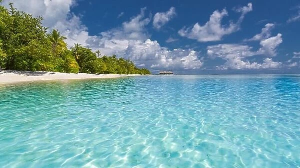 Beach nature, landscape of Maldives with blue sea, blue sky and palm trees on white sand. Perfect tropical scene