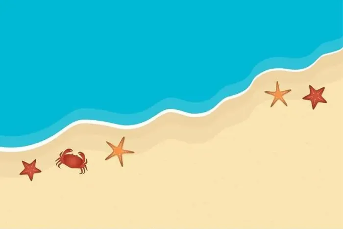 Framed Print : beach and ocean background summer holiday with starfish and crab vector illustration EPS10 Framed Print : beach and ocean background summer holiday with starfish and crab vector illustration EPS10