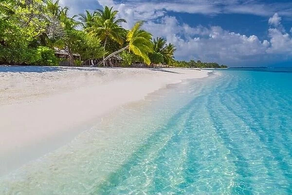 Beach season in luxury summer island. Paradise landscape concept, calm sea, white sand, palm trees. Luxury at beach. Relaxing vibes, holiday travel