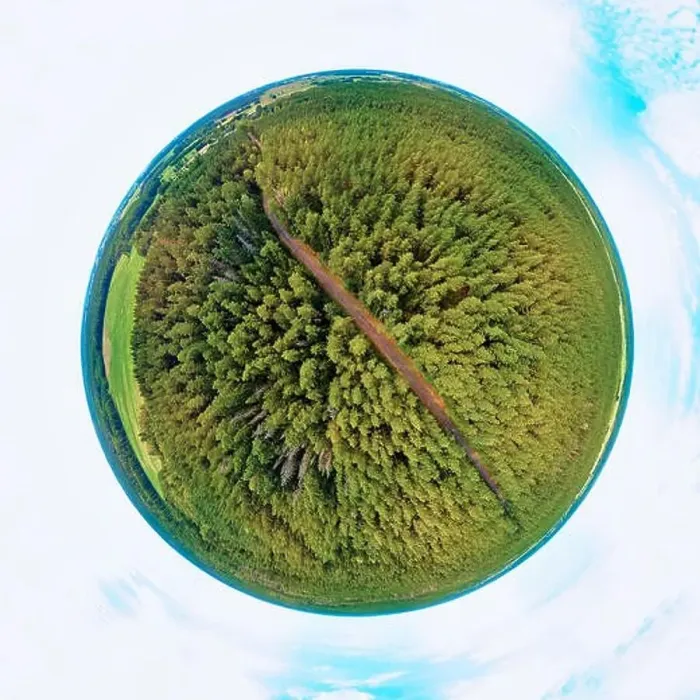 Framed Print : Beautiful 360 panoramic little planet aerial drone view to Bialowieza Forest - one of the last Framed Print : Beautiful 360 panoramic little planet aerial drone view to Bialowieza Forest - one of the last