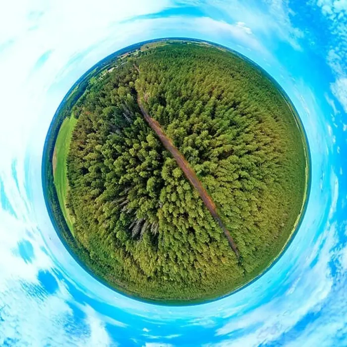 Framed Print : Beautiful 360 panoramic little planet aerial drone view to Bialowieza Forest - one of the last Framed Print : Beautiful 360 panoramic little planet aerial drone view to Bialowieza Forest - one of the last