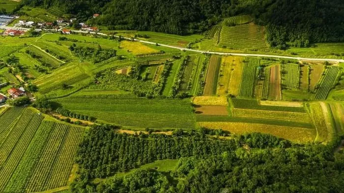Framed Print : Beautiful Aerial View of Vipava Valley's Rolling Hills and Vineyards Framed Print : Beautiful Aerial View of Vipava Valley's Rolling Hills and Vineyards