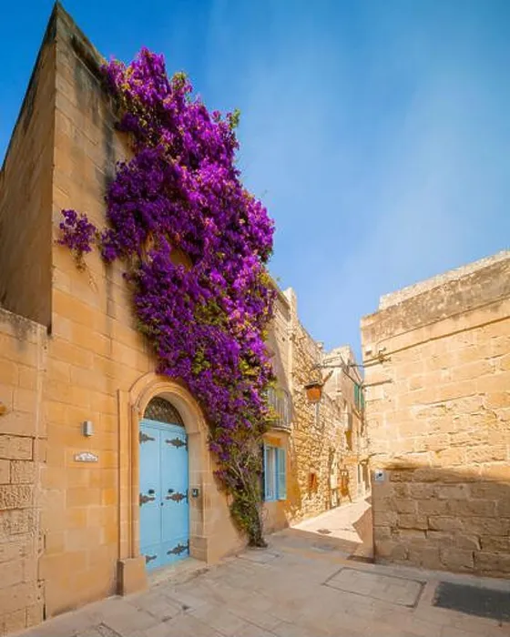 Framed Print : Beautiful attraction in Mdina (the Silent city) Framed Print : Beautiful attraction in Mdina (the Silent city)