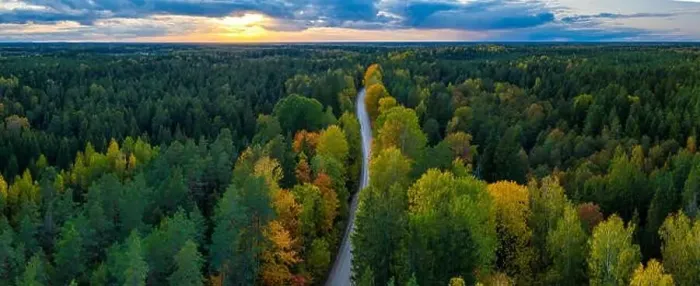 Framed Print : Beautiful autumn landscape. Panorama view of forest and road from above. Latvian nature Framed Print : Beautiful autumn landscape. Panorama view of forest and road from above. Latvian nature