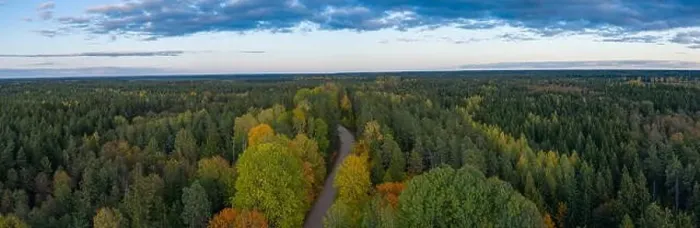 Framed Print : Beautiful autumn landscape. Panorama view of forest and road from above. Latvian nature Framed Print : Beautiful autumn landscape. Panorama view of forest and road from above. Latvian nature