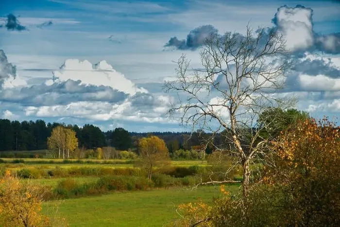 Framed Print : Beautiful autumn landscape. View of forest and field. Latvian nature Framed Print : Beautiful autumn landscape. View of forest and field. Latvian nature