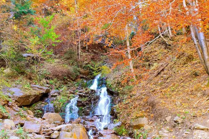 Framed Print : Beautiful autumn. Red beech leaves on stones with stream of mountain waterfall in background Framed Print : Beautiful autumn. Red beech leaves on stones with stream of mountain waterfall in background