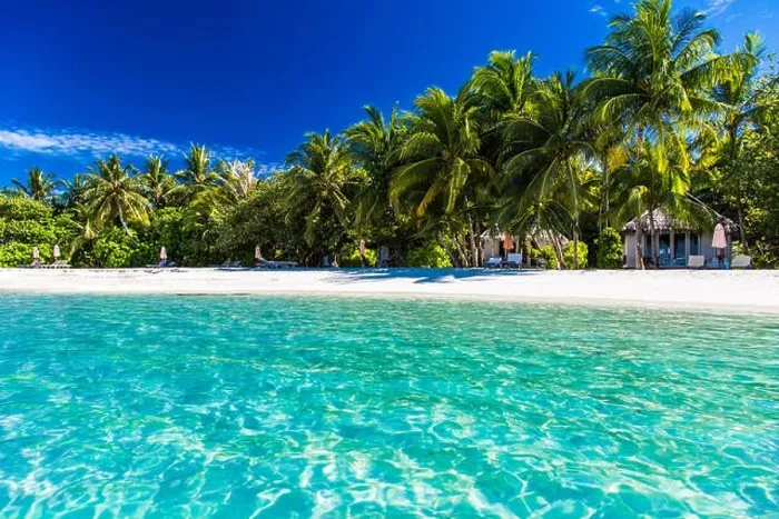 Framed Print : Beautiful beach in Maldives with few palm trees and blue lagoon. Tropical background concept Framed Print : Beautiful beach in Maldives with few palm trees and blue lagoon. Tropical background concept