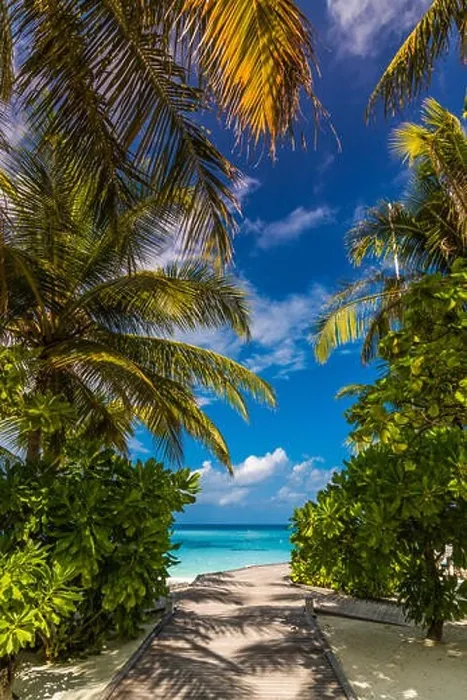 Framed Print : Beautiful beach in Maldives. Summer holiday travel concept Framed Print : Beautiful beach in Maldives. Summer holiday travel concept