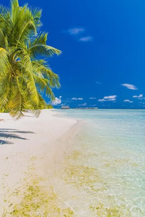 Framed Print : Beautiful beach in Maldives. Summer holiday travel concept Framed Print : Beautiful beach in Maldives. Summer holiday travel concept