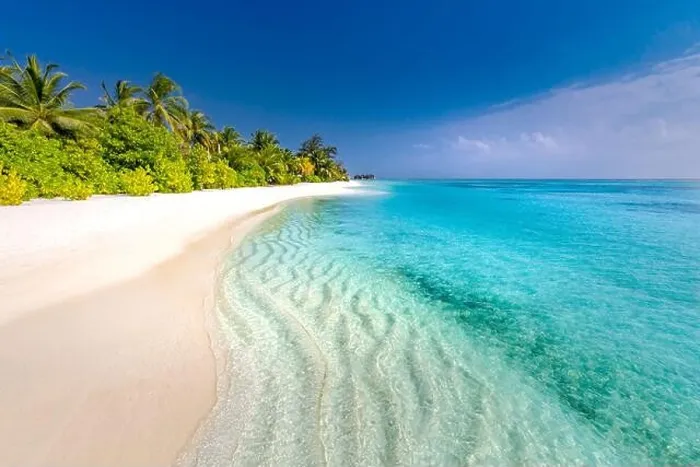 Framed Print : Beautiful beach with palm trees and moody sky. Summer nature vacation travel holiday background. Maldives paradise beach. Luxury travel landscape Framed Print : Beautiful beach with palm trees and moody sky. Summer nature vacation travel holiday background. Maldives paradise beach. Luxury travel landscape