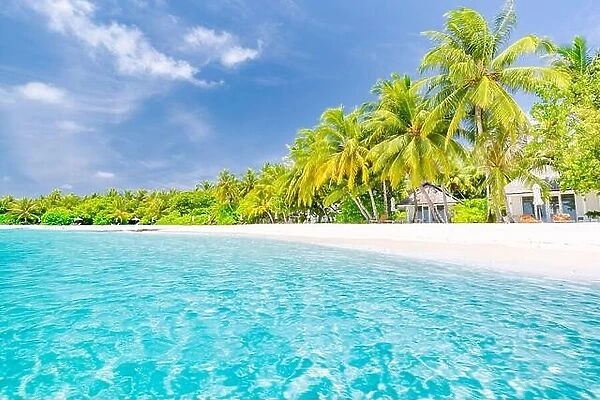 Beautiful beach resort, coast, shore with white sand and palm trees. Amazing summer holiday vacation concept, luxury travel destination. Tropic beach