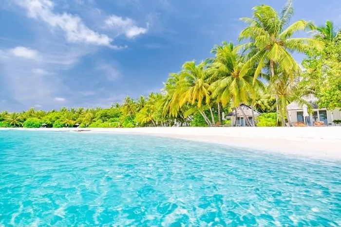 Framed Print : Beautiful beach resort, coast, shore with white sand and palm trees. Amazing summer holiday vacation concept, luxury travel destination. Tropic beach Framed Print : Beautiful beach resort, coast, shore with white sand and palm trees. Amazing summer holiday vacation concept, luxury travel destination. Tropic beach