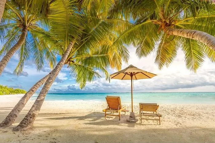 Framed Print : Beautiful beach tropical landscape, two sun beds, loungers, umbrella under palm tree. White sand, sea view with horizon, colorful twilight sky Framed Print : Beautiful beach tropical landscape, two sun beds, loungers, umbrella under palm tree. White sand, sea view with horizon, colorful twilight sky