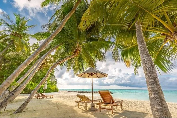 Framed Print : Beautiful beach tropical landscape, two sun beds, loungers, umbrella under palm tree. White sand, sea view with horizon, colorful twilight sky Framed Print : Beautiful beach tropical landscape, two sun beds, loungers, umbrella under palm tree. White sand, sea view with horizon, colorful twilight sky