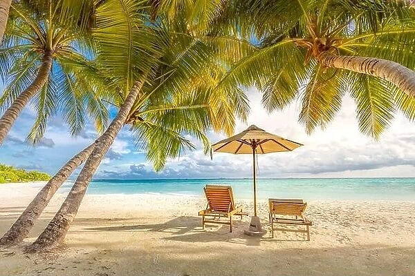 Beautiful beach tropical landscape, two sun beds, loungers, umbrella under palm tree. White sand, sea view with horizon, colorful twilight sky