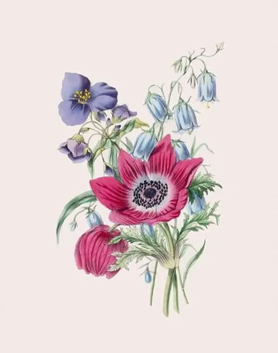 Framed Print : Beautiful bouquet of flowers Framed Print : Beautiful bouquet of flowers