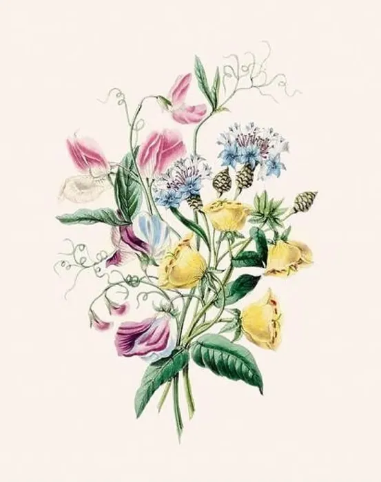 Framed Print : Beautiful bouquet of flowers Framed Print : Beautiful bouquet of flowers