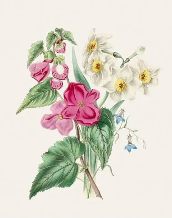 Framed Print : Beautiful bouquet of flowers Framed Print : Beautiful bouquet of flowers