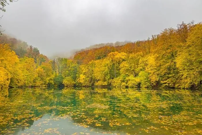 Framed Print : Beautiful, colorful autumn lake. Amazing water reflection, peaceful nature scenery. Yellow orange leaves, misty morning light. Relax autumnal fall Framed Print : Beautiful, colorful autumn lake. Amazing water reflection, peaceful nature scenery. Yellow orange leaves, misty morning light. Relax autumnal fall