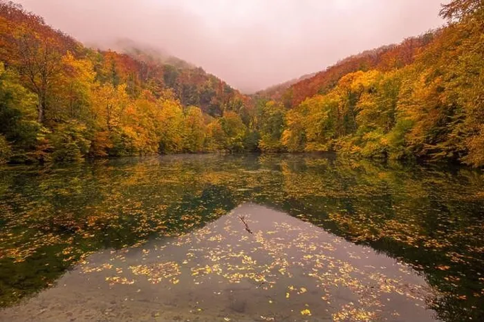 Framed Print : Beautiful, colorful autumn lake. Amazing water reflection, peaceful nature scenery. Yellow orange leaves, misty morning light. Relax autumnal fall Framed Print : Beautiful, colorful autumn lake. Amazing water reflection, peaceful nature scenery. Yellow orange leaves, misty morning light. Relax autumnal fall