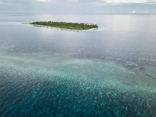 A beautiful coral reef grows near a remote Indonesian island in the Banda Sea. This region is in the Coral Triangle and has high marine biodiversity