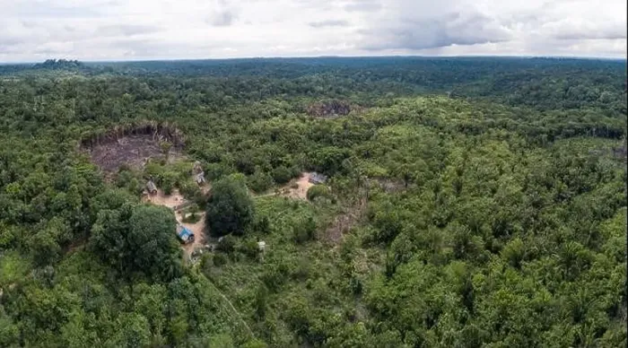 Framed Print : Beautiful drone aerial view of Amazon rainforest trees Framed Print : Beautiful drone aerial view of Amazon rainforest trees