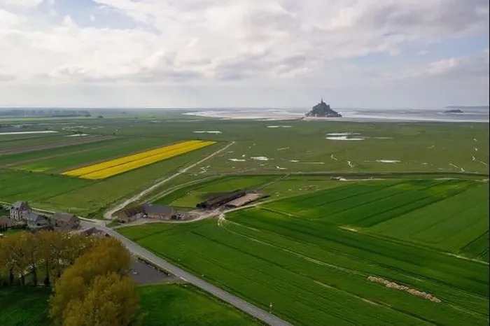 Framed Print : Beautiful drone view of famous Le Mont Saint-Michel tidal island with blue sky and yellow fields of rapeseed Framed Print : Beautiful drone view of famous Le Mont Saint-Michel tidal island with blue sky and yellow fields of rapeseed