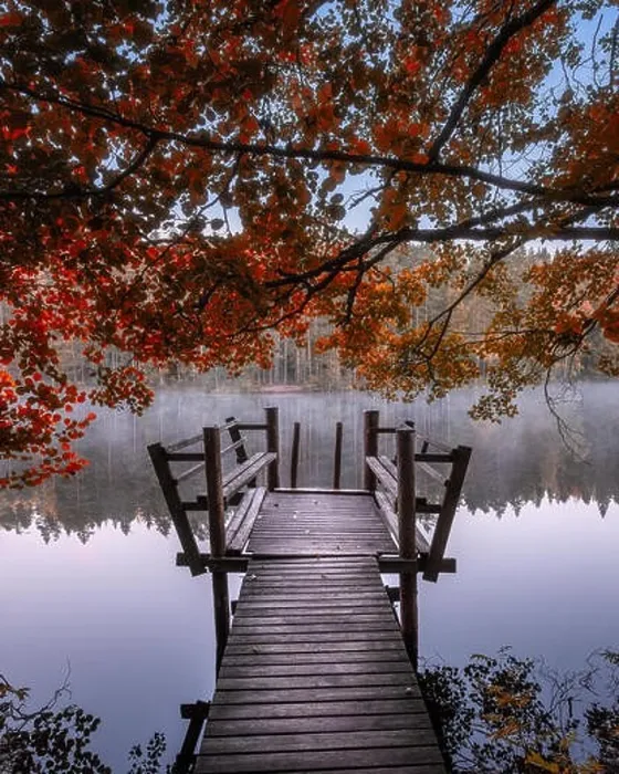 Framed Print : Beautiful fall colors with wooden pier and peaceful lake at autumn morning in Finland Framed Print : Beautiful fall colors with wooden pier and peaceful lake at autumn morning in Finland