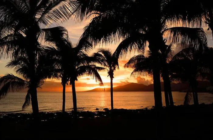 Framed Print : A beautiful golden sunset over the sea and silhouettes of the palms in Puerto Del Carmen, Lanzarote Framed Print : A beautiful golden sunset over the sea and silhouettes of the palms in Puerto Del Carmen, Lanzarote