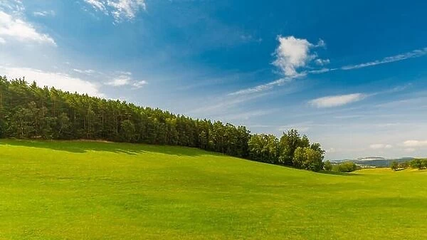 Beautiful green grass meadow field and forest background under blue sky, idyllic landscape. Nature background