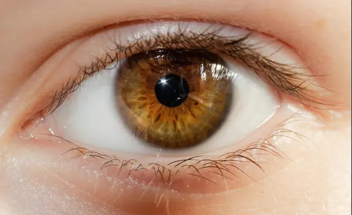 Framed Print : A beautiful hazel eye close up looking into the camera Framed Print : A beautiful hazel eye close up looking into the camera