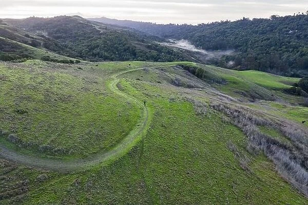 Beautiful hiking trails wind through the peaceful hills of the East Bay, just east of Oakland, Berkeley, and El Cerrito in the San Francisco Bay Area