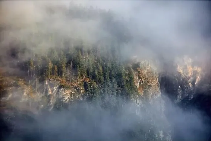 Framed Print : a beautiful landscape of fog in a forest Framed Print : a beautiful landscape of fog in a forest