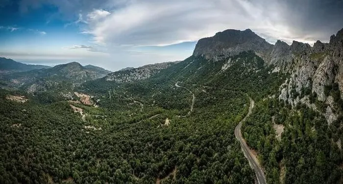 Framed Print : Beautiful landscape on Mallorca in windy weather with many trees Framed Print : Beautiful landscape on Mallorca in windy weather with many trees