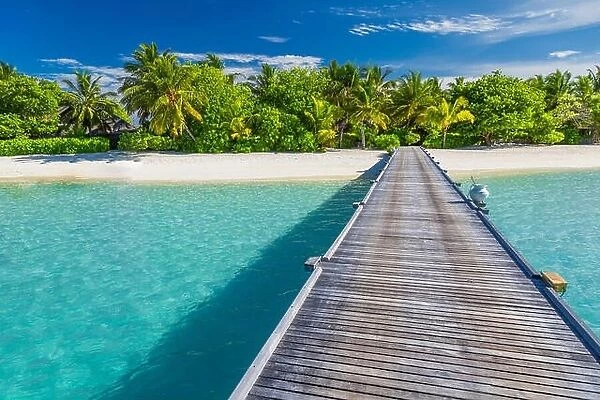 Beautiful Maldives island beach, palm trees and wooden pier over white sand a blue sea. Exotic vacation and holiday concept in Maldives island