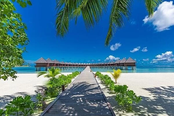 Beautiful Maldives island landscape beach with water villas. Long jetty under palm leaves, luxury summer travel destination. Amazing vacation