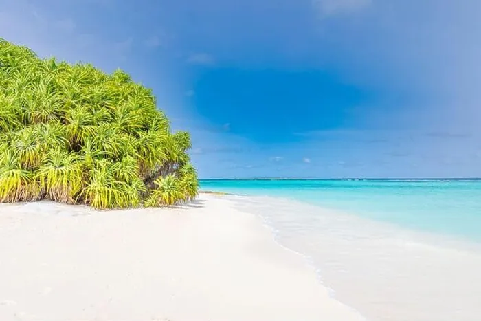 Framed Print : Beautiful Maldives islands beach with mangrove trees, white sand, light blue transparent water with coral reefs, green tropical forest plants Framed Print : Beautiful Maldives islands beach with mangrove trees, white sand, light blue transparent water with coral reefs, green tropical forest plants