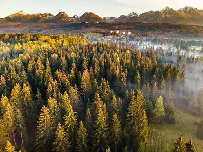 Framed Print : Beautiful Morning in High Tatras Mountains. Mist Over Fall Foliage. Aerial Drone View Framed Print : Beautiful Morning in High Tatras Mountains. Mist Over Fall Foliage. Aerial Drone View