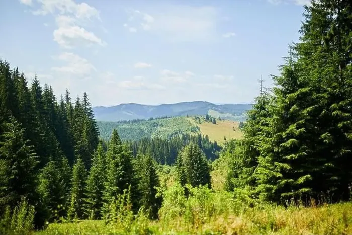 Framed Print : Beautiful mountain and forest in spring Framed Print : Beautiful mountain and forest in spring