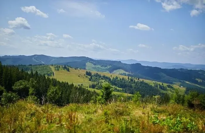 Framed Print : Beautiful mountain and forest in spring Framed Print : Beautiful mountain and forest in spring