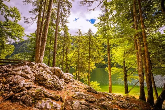 Framed Print : Beautiful mountain lake in the forest, bright summer day. Tranquil nature landscape, green pine trees and calm sunshine Framed Print : Beautiful mountain lake in the forest, bright summer day. Tranquil nature landscape, green pine trees and calm sunshine